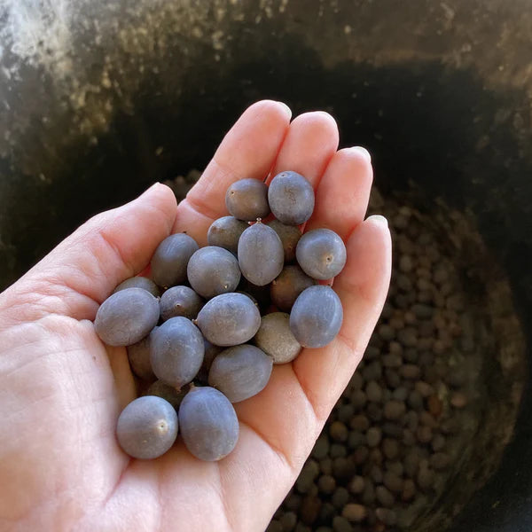8863